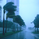Illustration for article titled The Coriolis Effect Part II: As the Hurricane Turns